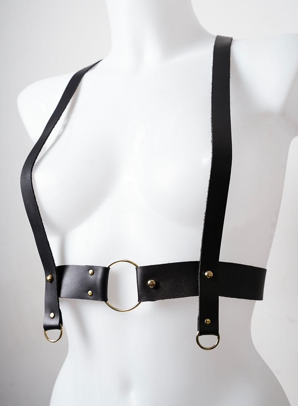 Body harness - C01