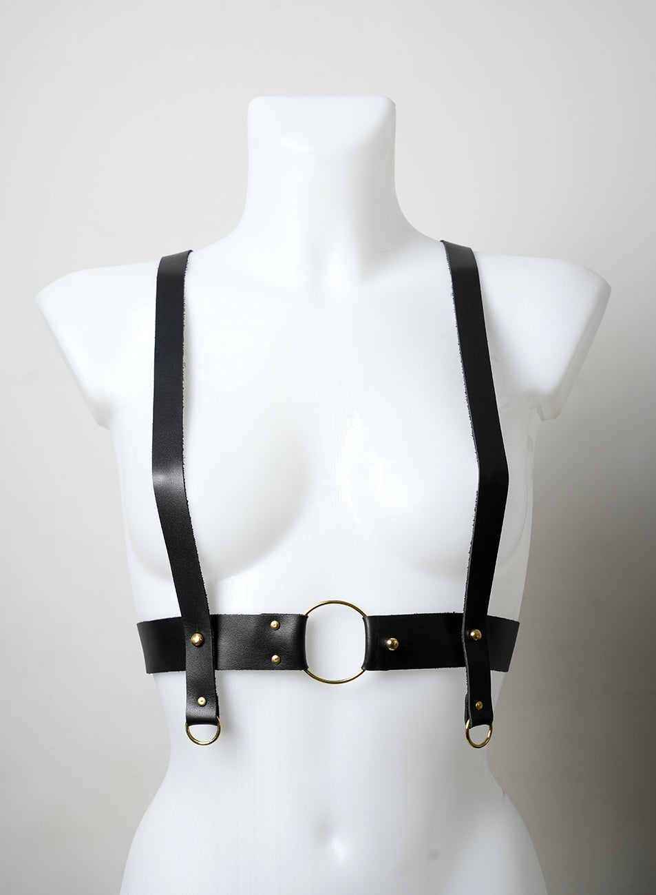 Body harness - C01