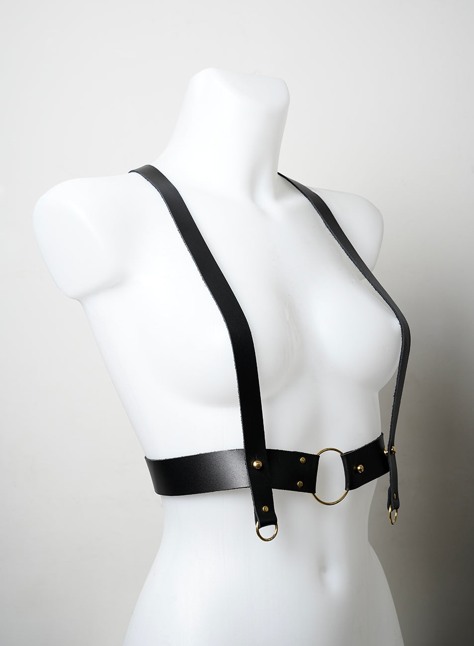 Body harness - C01