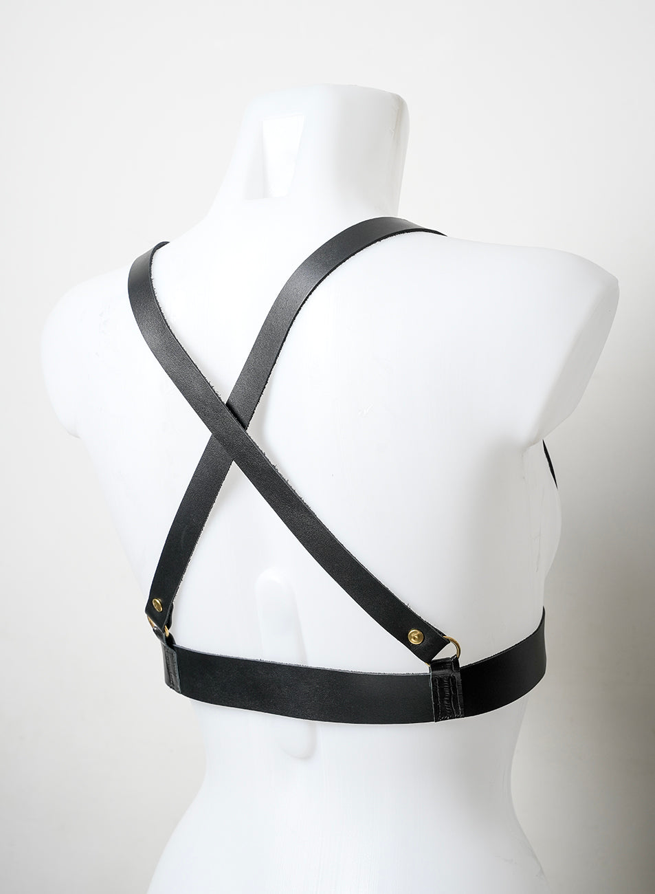 Body harness - C01