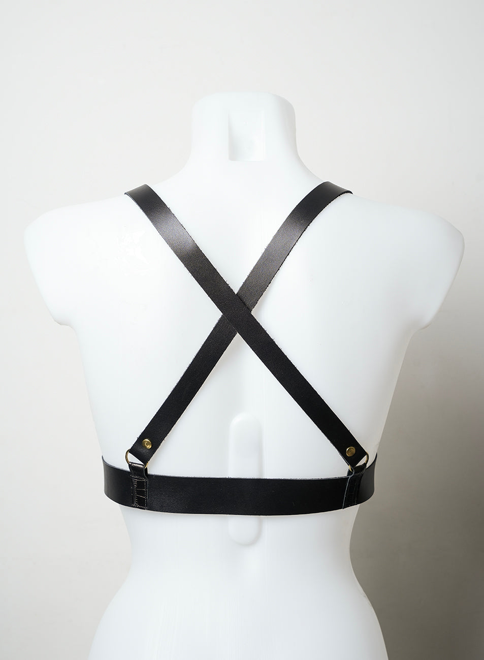 Body harness - C01