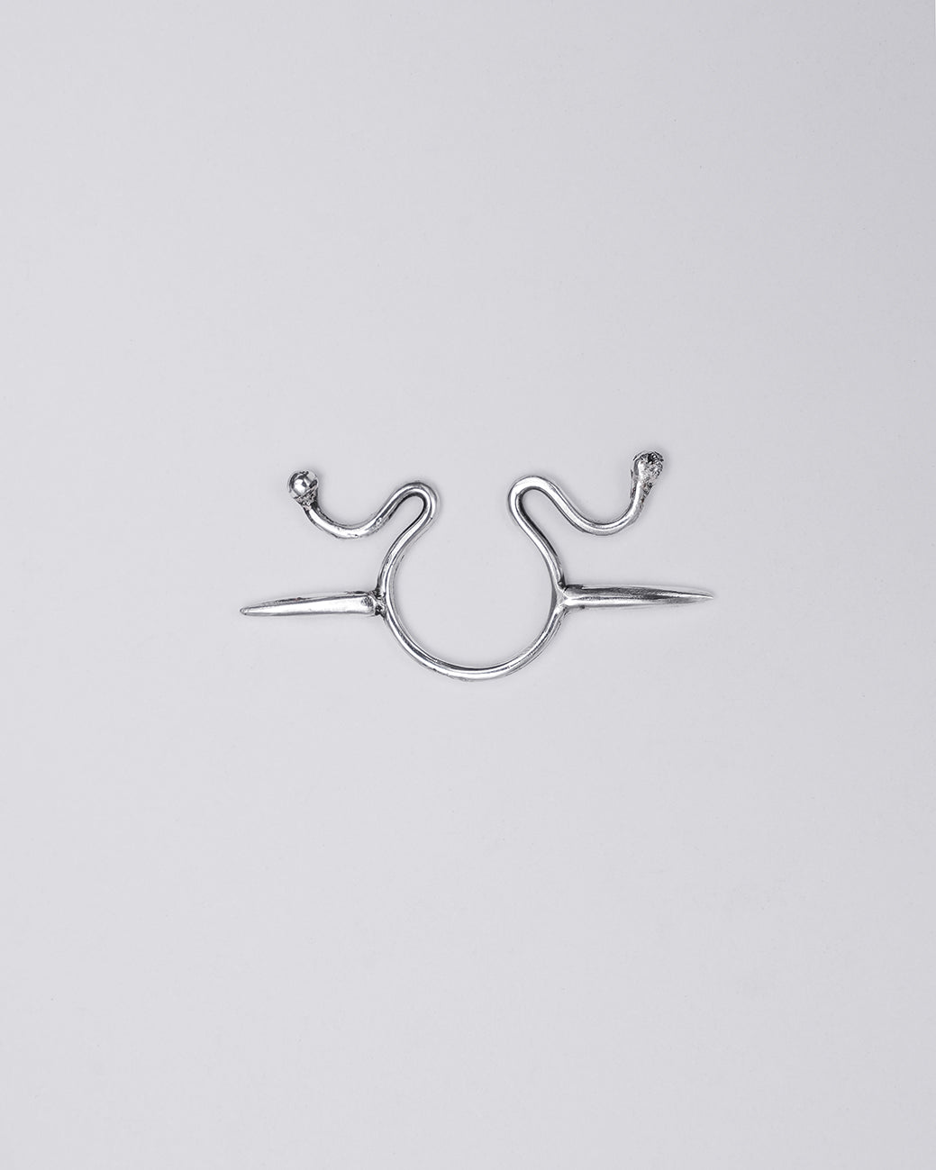 Septum - Soma